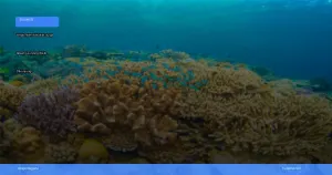 wisata alam Wakatobi | Turtlebin