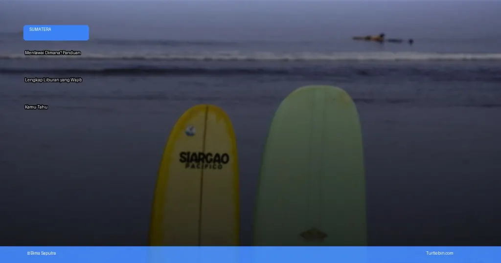 mentawai dimana | Turtlebin