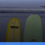 mentawai dimana | Turtlebin