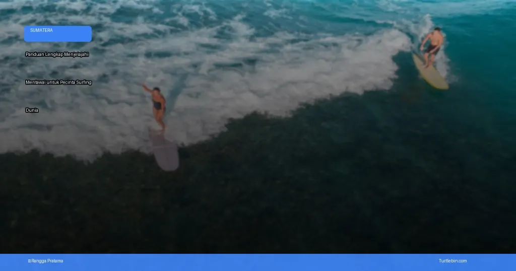 panduan lengkap menjelajahi Mentawai untuk pecinta surfing | Turtlebin