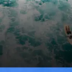menjelajahi Mentawai untuk pecinta surfing | Turtlebin