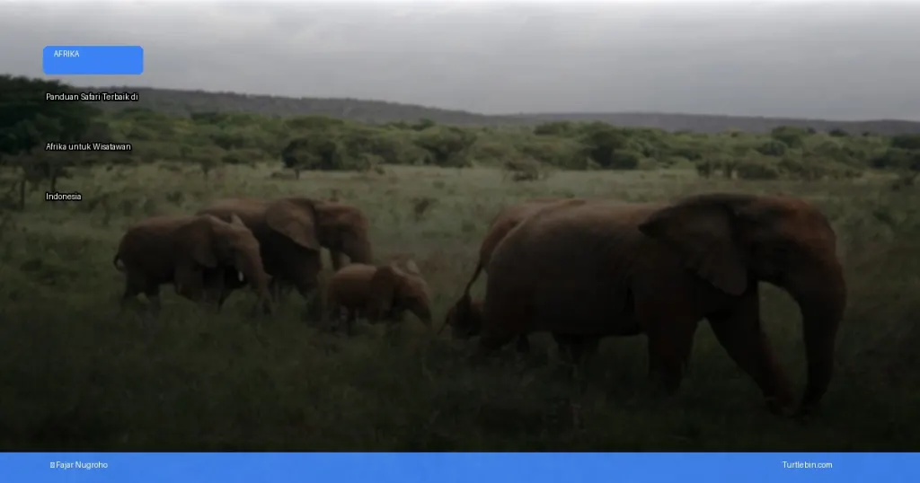 safari terbaik di afrika | Turtlebin