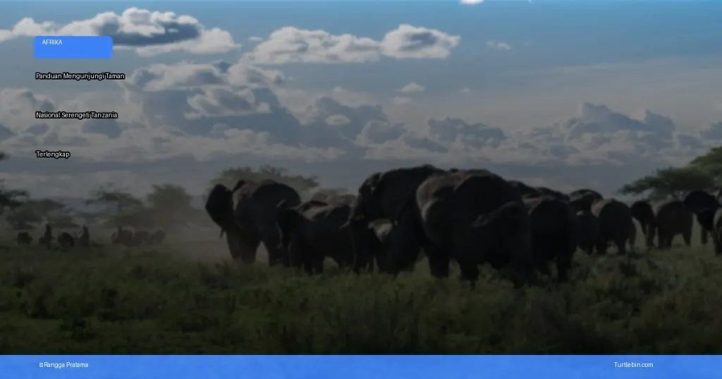 panduan mengunjungi Taman Nasional Serengeti | Turtlebin