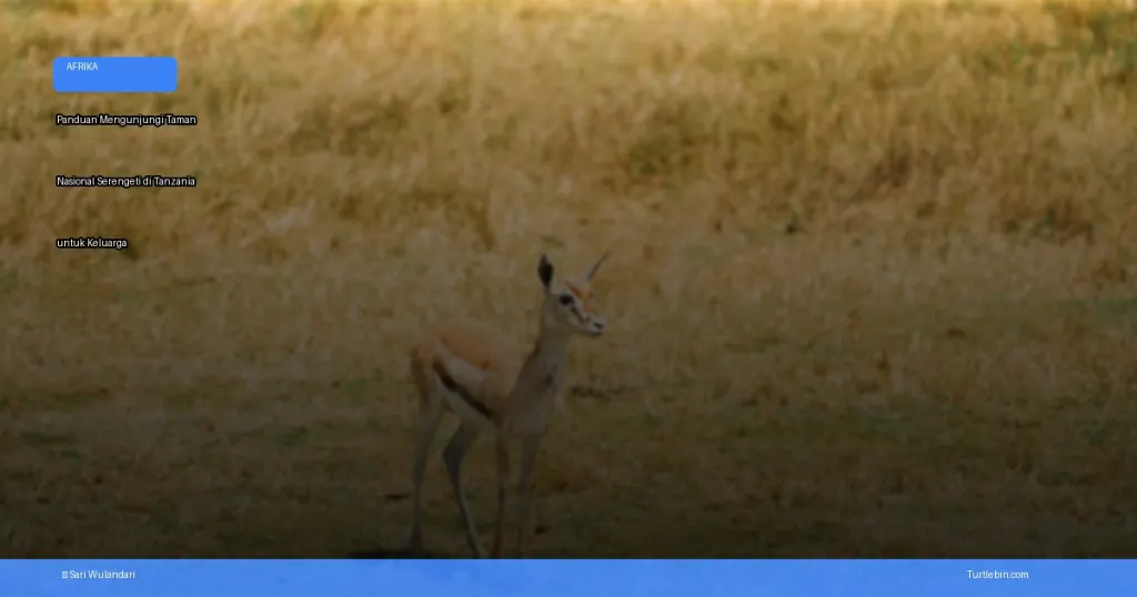 Taman Nasional Serengeti di Tanzania | Turtlebin