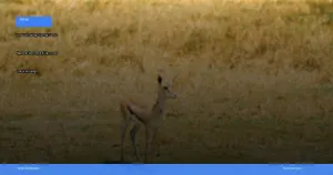 Taman Nasional Serengeti di Tanzania | Turtlebin