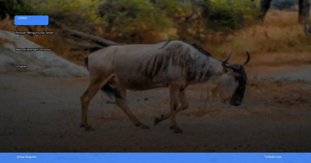 panduan mengunjungi Taman Nasional Serengeti | Turtlebin