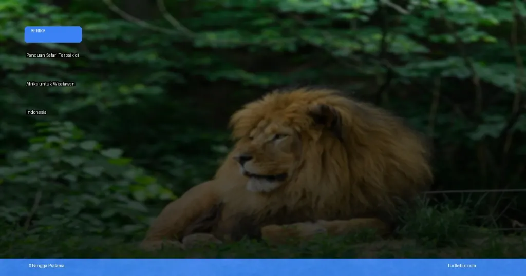safari terbaik di afrika untuk wisatawan indonesia | Turtlebin