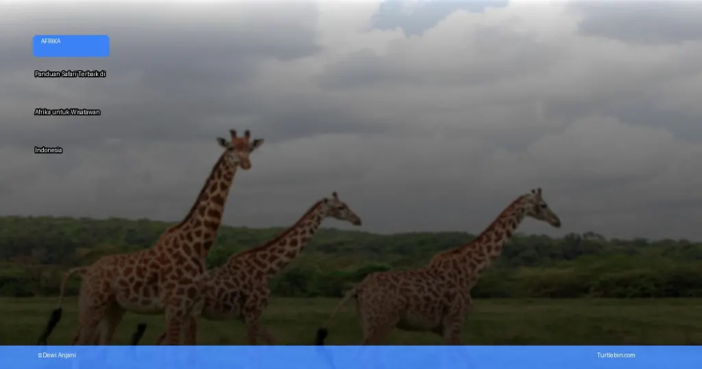 safari terbaik di Afrika untuk wisatawan Indonesia | Turtlebin