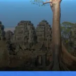 menjelajahi Siem Reap dan Angkor Wat di Kamboja | Turtlebin