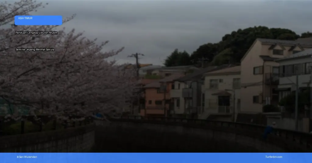 liburan musim semi ke Jepang melihat sakura | Turtlebin