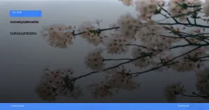 liburan musim semi ke Jepang melihat sakura | Turtlebin