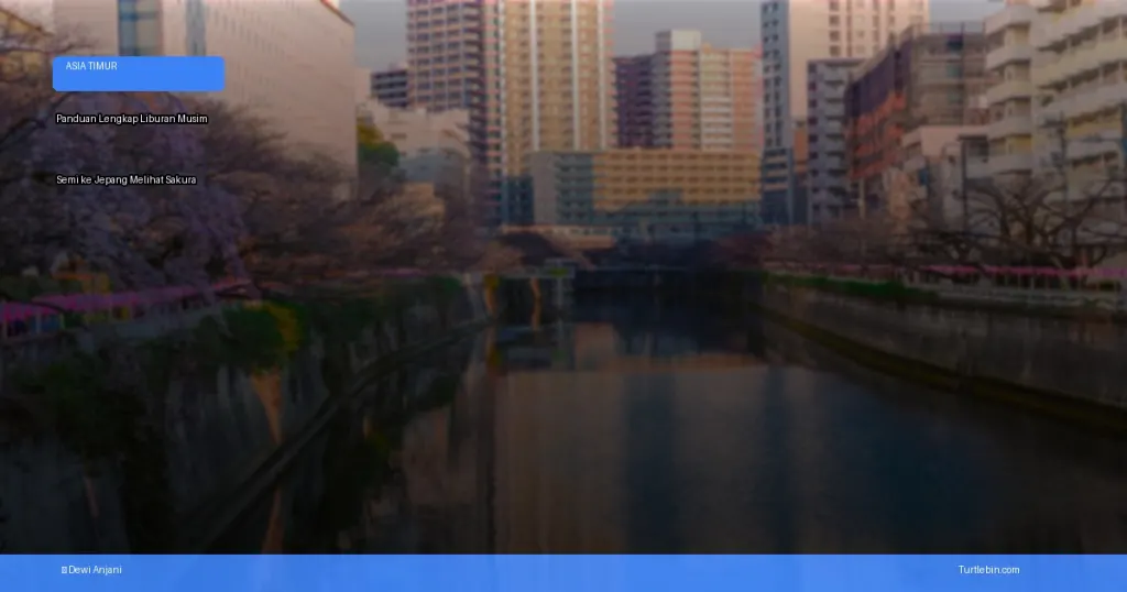 liburan musim semi ke jepang melihat sakura | Turtlebin