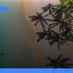 pulau tersembunyi di Pasifik untuk liburan tenang | Turtlebin