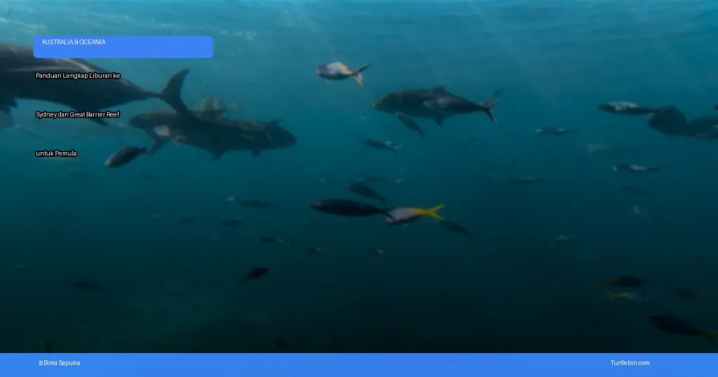 panduan lengkap liburan ke sydney dan great barrier reef | Turtlebin