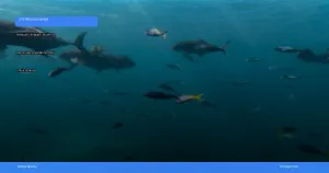 panduan lengkap liburan ke sydney dan great barrier reef | Turtlebin