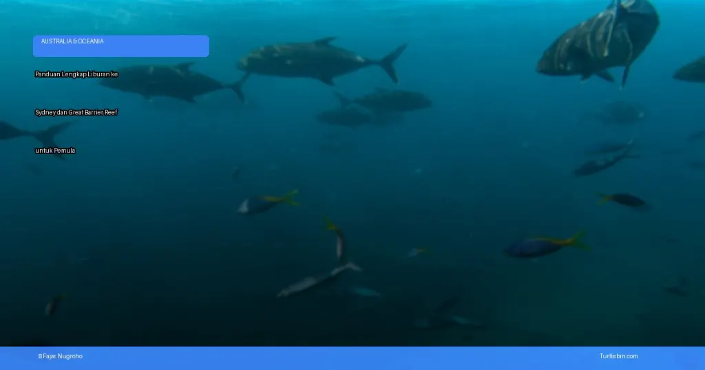 liburan ke Sydney dan Great Barrier Reef | Turtlebin