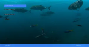 liburan ke Sydney dan Great Barrier Reef | Turtlebin