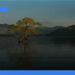 wisata alam di Selandia Baru | Turtlebin