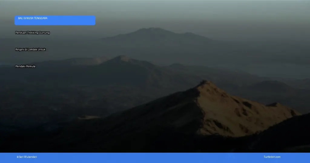panduan trekking Gunung Rinjani di Lombok untuk pendaki pemula | Turtlebin