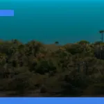 menjelajahi Sumba | Turtlebin