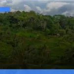 rekomendasi penginapan murah dan nyaman di sekitar ubud | Turtlebin