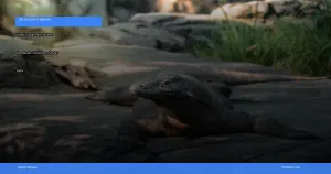 wisata Labuan Bajo | Turtlebin