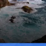 pantai selatan jawa dengan ombak dan pemandangan terbaik | Turtlebin