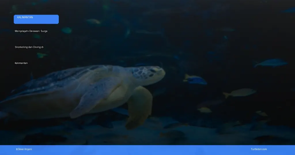Menjelajahi Derawan: surga snorkeling dan diving di Kalimantan | Turtlebin