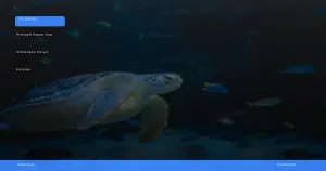 Menjelajahi Derawan: surga snorkeling dan diving di Kalimantan | Turtlebin