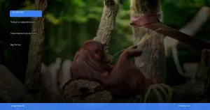 Taman Nasional Tanjung Puting | Turtlebin