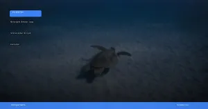 menjelajahi derawan: surga snorkeling dan diving di kalimantan | Turtlebin
