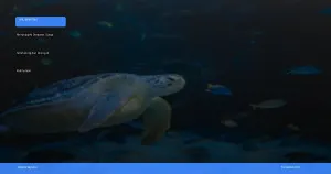 menjelajahi derawan: surga snorkeling dan diving di kalimantan | Turtlebin