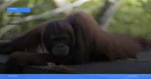 panduan lengkap menjelajahi taman nasional tanjung puting | Turtlebin
