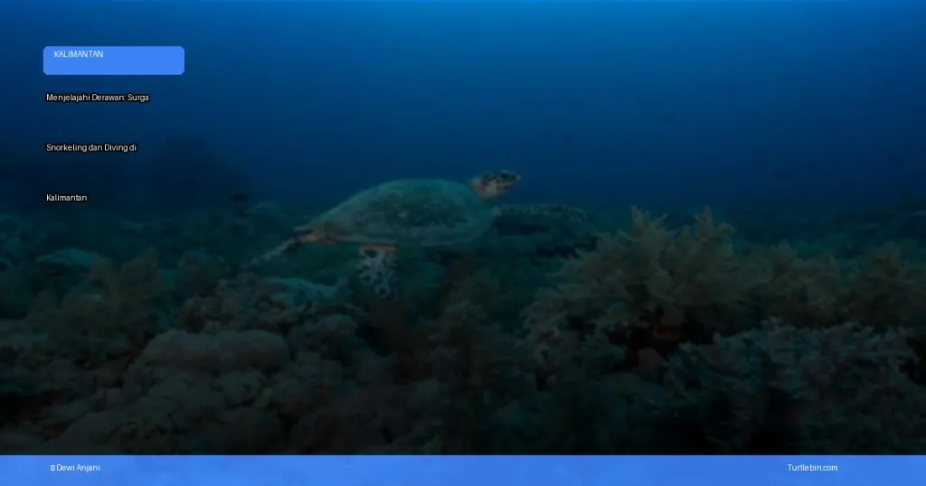 menjelajahi Derawan: surga snorkeling dan diving di Kalimantan | Turtlebin