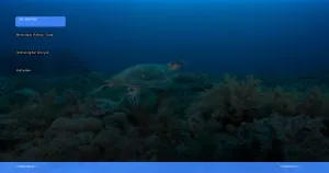 menjelajahi Derawan: surga snorkeling dan diving di Kalimantan | Turtlebin