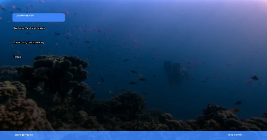 wisata diving dan snorkeling terbaik | Turtlebin
