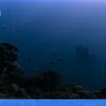 wisata diving dan snorkeling terbaik | Turtlebin