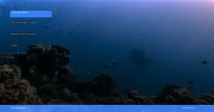 wisata diving dan snorkeling terbaik | Turtlebin