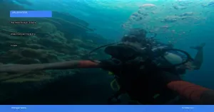 wisata diving dan snorkeling terbaik di Raja Ampat | Turtlebin