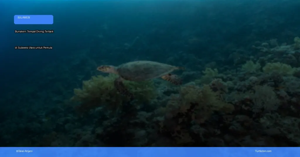 tempat diving terbaik di Sulawesi Utara untuk pemula | Turtlebin