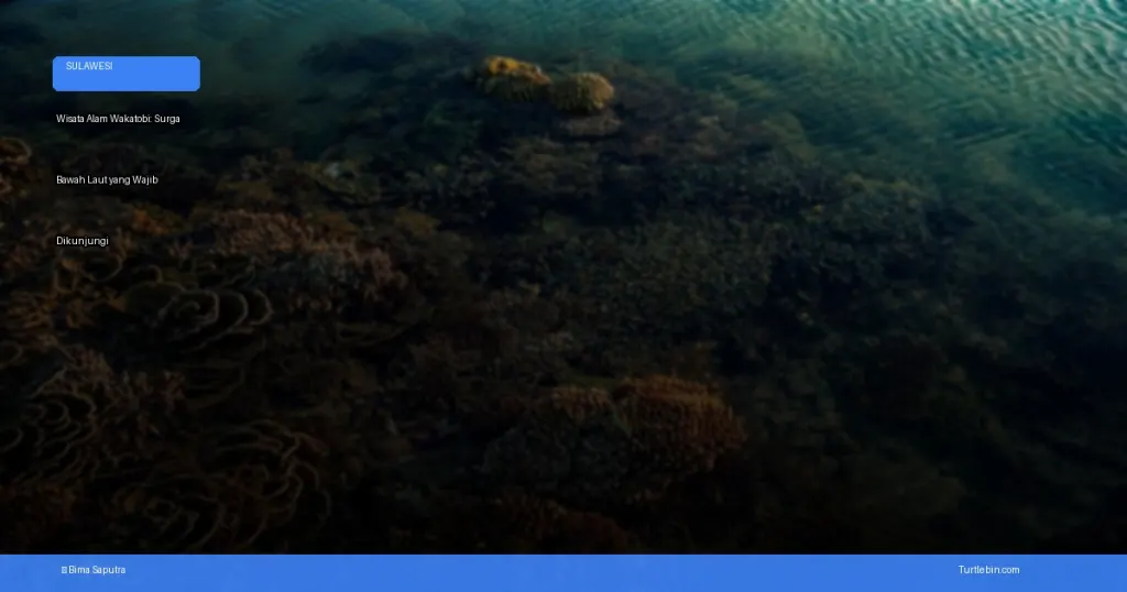 wisata alam Wakatobi | Turtlebin