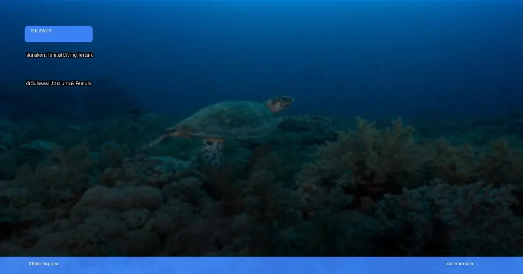 tempat diving terbaik di Sulawesi Utara untuk pemula | Turtlebin