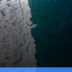 menjelajahi mentawai untuk pecinta surfing | Turtlebin