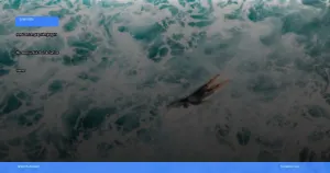 menjelajahi Mentawai untuk pecinta surfing | Turtlebin