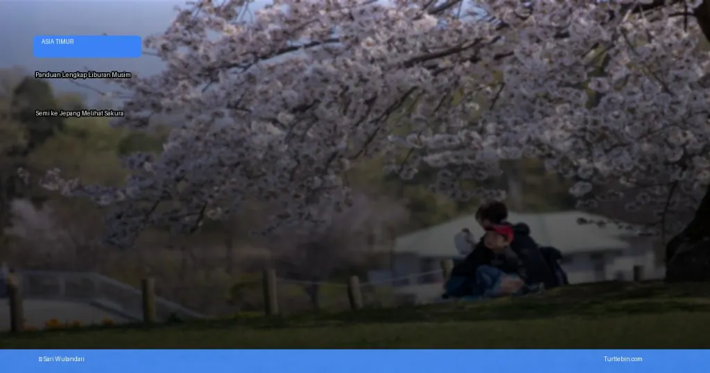 liburan musim semi ke jepang melihat sakura | Turtlebin