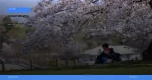 liburan musim semi ke jepang melihat sakura | Turtlebin