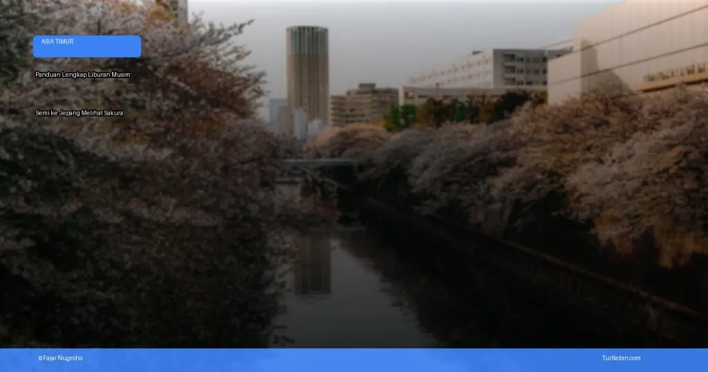 liburan musim semi ke Jepang melihat sakura | Turtlebin