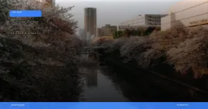 liburan musim semi ke Jepang melihat sakura | Turtlebin