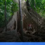 persiapan perjalanan ke pedalaman Kalimantan | Turtlebin