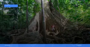 persiapan perjalanan ke pedalaman Kalimantan | Turtlebin